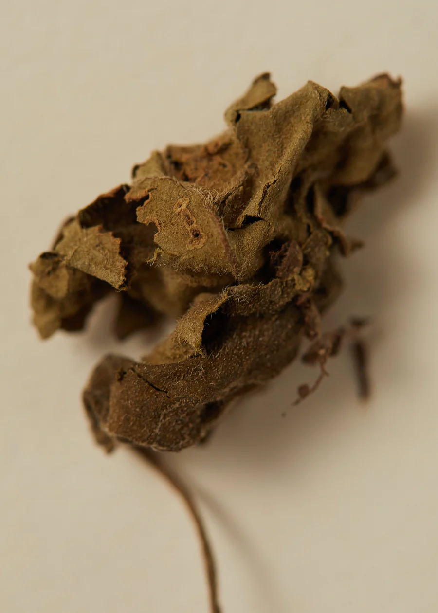 Vedic Blend - Pitta Body Oil:圖片 3