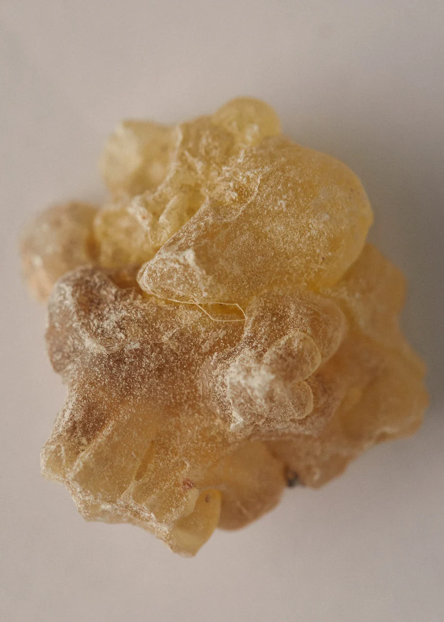 Vedic Blend - Kapha Body Oil:圖片 6